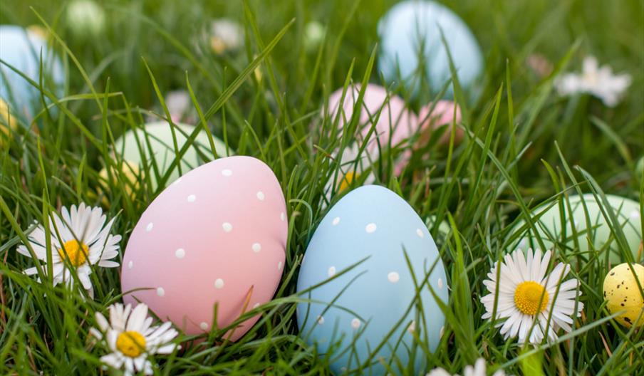 Easter Sunday at the Moody Calf