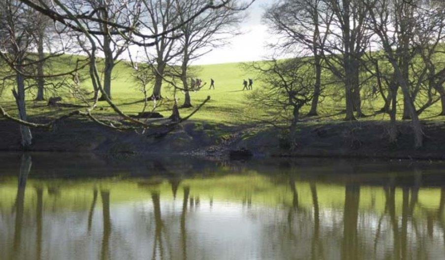 Circular Walk 3 - Fachwen Pool