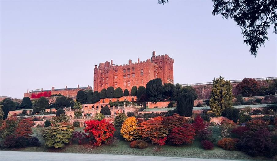 After-Dark Opening and Creepy Courtyard Illuminations at Powis Castle
