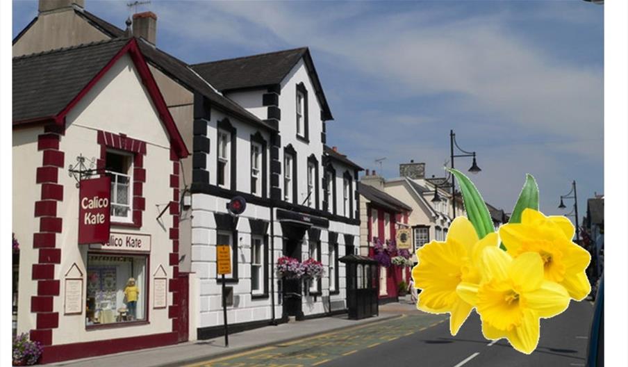 St Davids Day Parade Lampeter