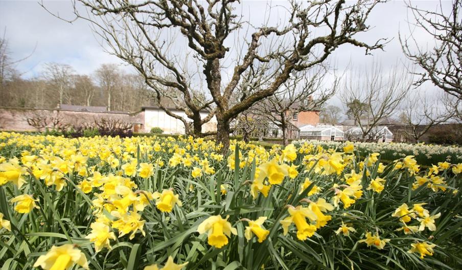 Llanerchaeron Springtime