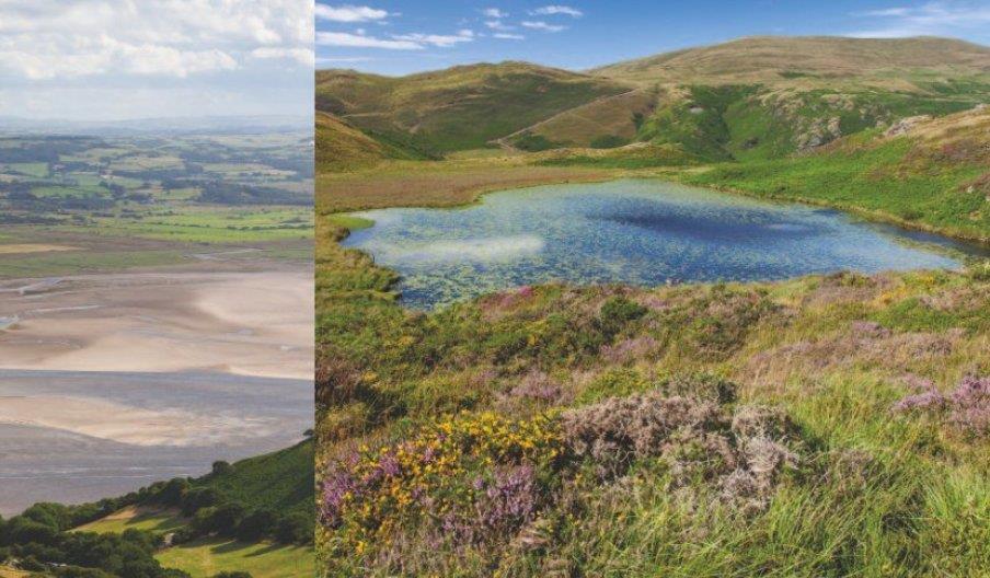 Llyn Barfog