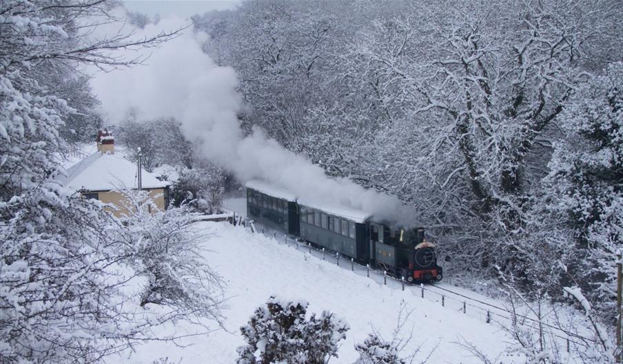 Mince Pie Special Train