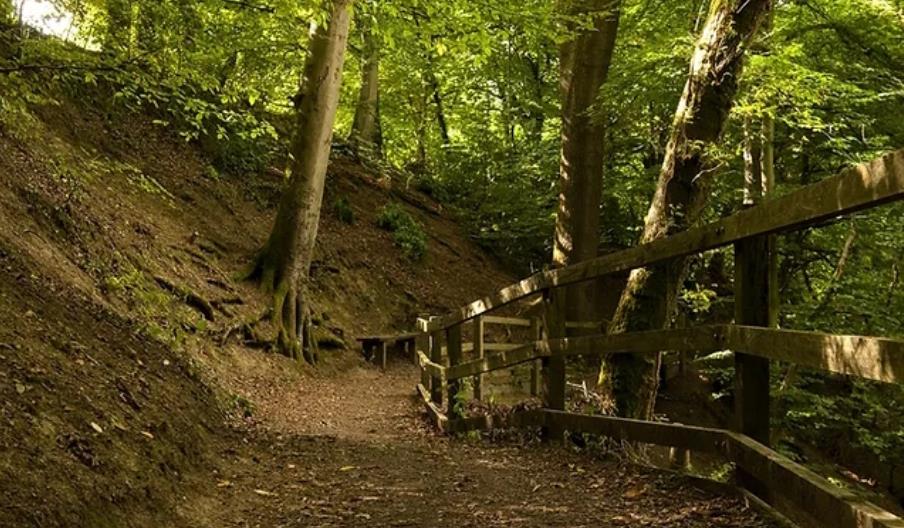 Abermule and Bettws Cedewain (Cycle Route)