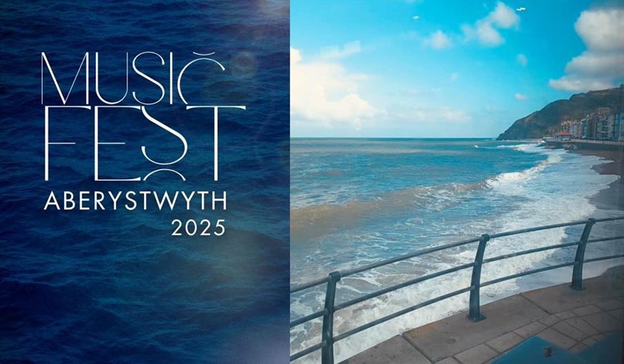 Gwyl 'Musicfest 25'