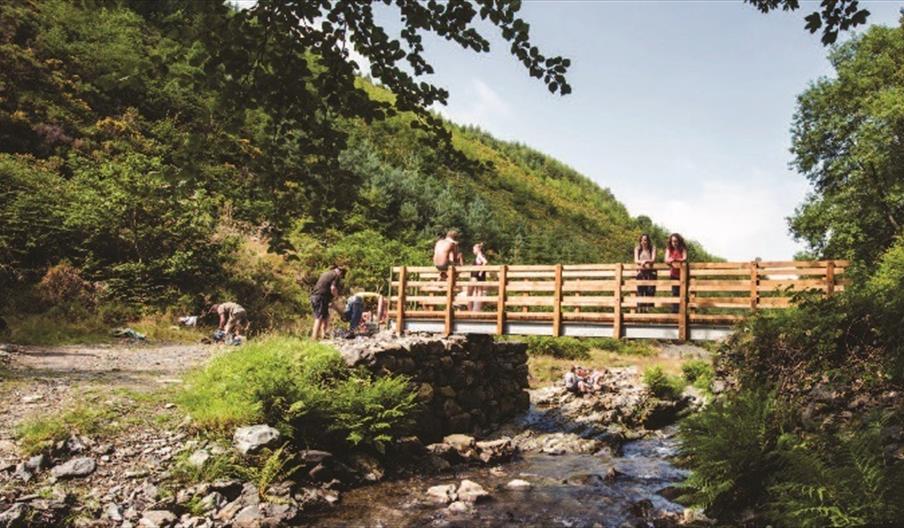 Talybont | Mynydd Gorddu Walk