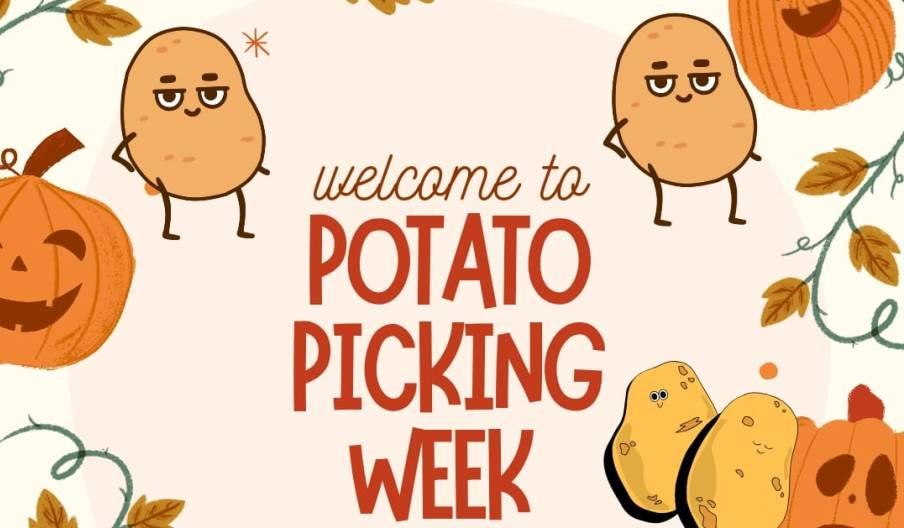 Half Term Potato Picking Week at Fantasy Park