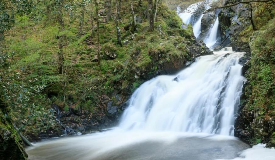 Coed Ganllwyd Nature Reserve