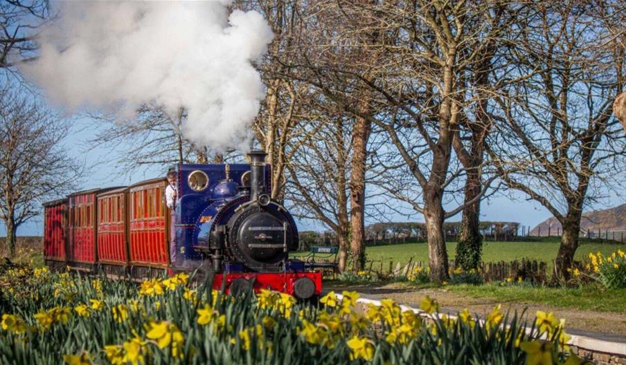 Travel on Talyllyn Railway on St Davids Day
