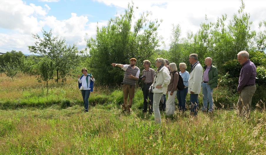 Tours at Welsh Mountain Cider