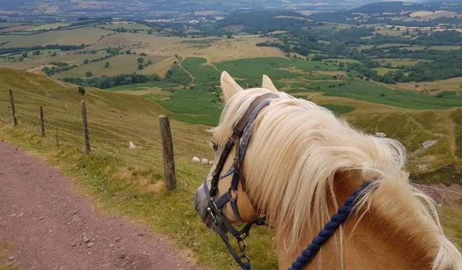 Tregoyd Mountain Riders