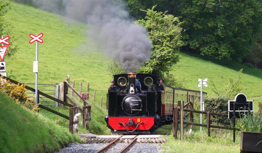 Steam Gala 2025 | Vale of Rheidol Railway