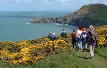 Dragon Trails Walking Holidays | Nr Llangrannog