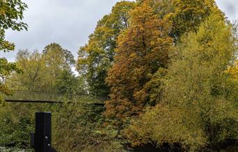 Dolerw Park - Autumn Colours