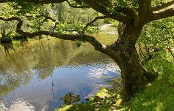 River Irfon