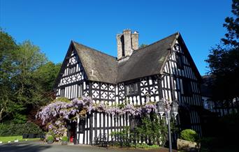 Maesmawr Hall Hotel in Summer