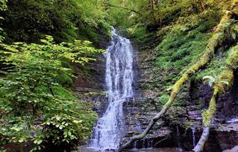 Warren Wood Waterfalls