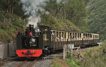 Vale of Rheidol Railway