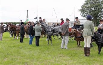 Tivyside Agricultural show
