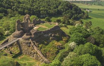 Montgomery Castle