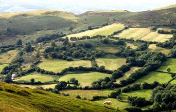 Irfon Valley