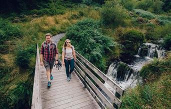 Hafren Forest | Source of the Severn Trail