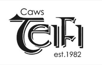 Caws Teifi Cheese