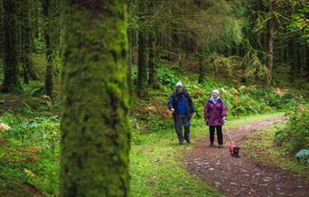 Crychan Forest and Halfway Forest