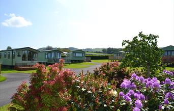 Gellidywyll holiday home park