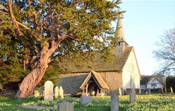 St Michael's Church | Discoed Yew