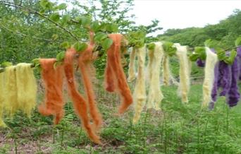 Natural Dyeing