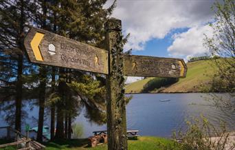 Glyndwr's Way, Llyn Clywedog