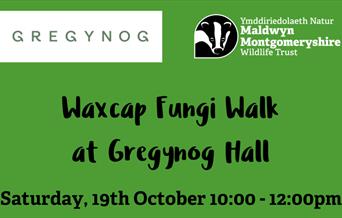 Waxcasp Fungi Walk organised by Montgomeryshire Wildlife Trust