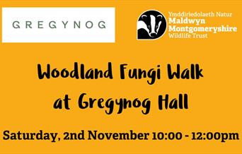 Wood-Fungi-Walk organised by Montgomeryshire Wildlife Trust