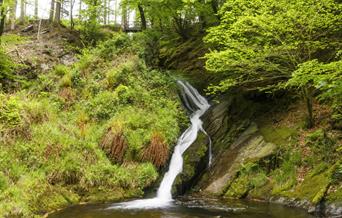 Hafod Estate Pieran Falls