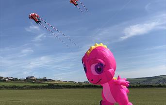 Let's go fly a kite!