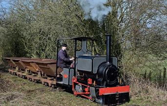 Driver experience at Vale of Rheidol Railway