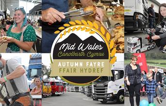 Attractions at mid wales autumn fayre