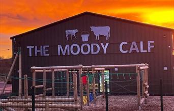 Bargoed Farm | Moody Calf Play Barn