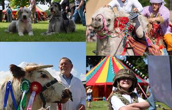 Royal Welsh Showground | Spring Festival