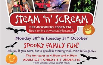 Steam n Scream Poster