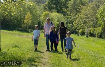 Walking in Countryside