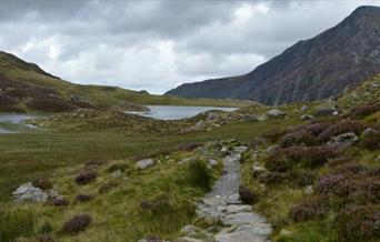 Barmouth Walking Festival