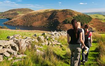 Cambrian Mountains