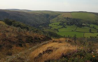 Cefn Cenarth Nature Reserve