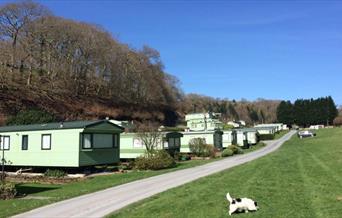 Cefn Crib Caravan Park