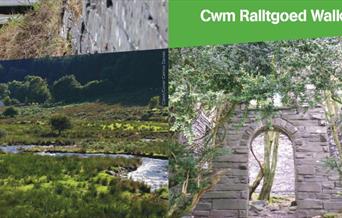 Dyfi Discovery Walk | Cwm Ralltgoed Walk