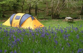 Dinas Camping