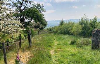 Drovers Walks with Green Events Llanwtyd Wells