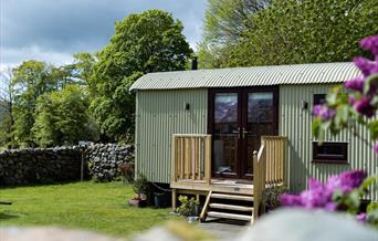 Dysynni Valley Shepherds Hut